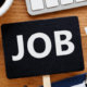 job searching not working
