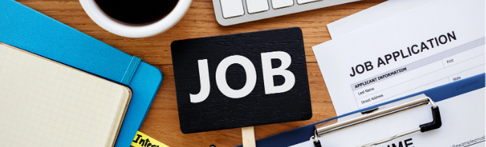 job searching not working